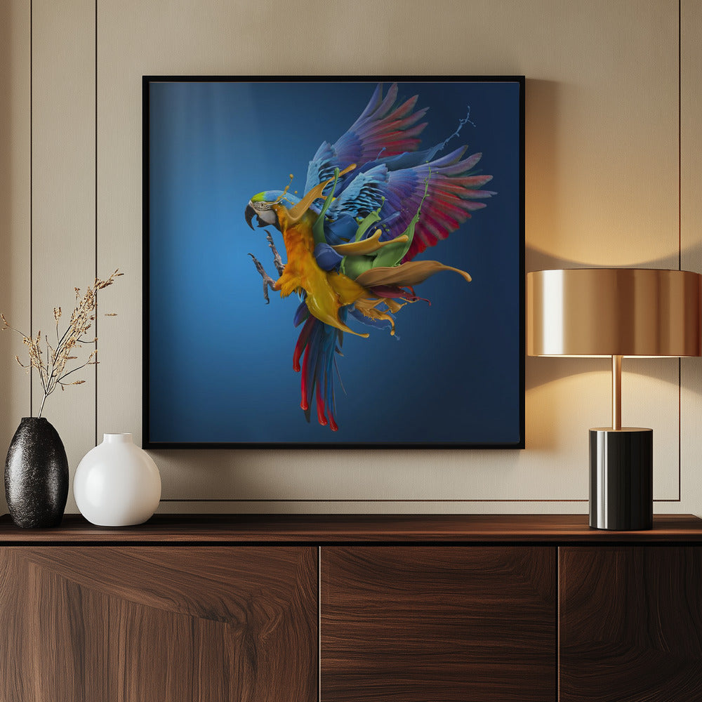 Flying Colours | Poster
