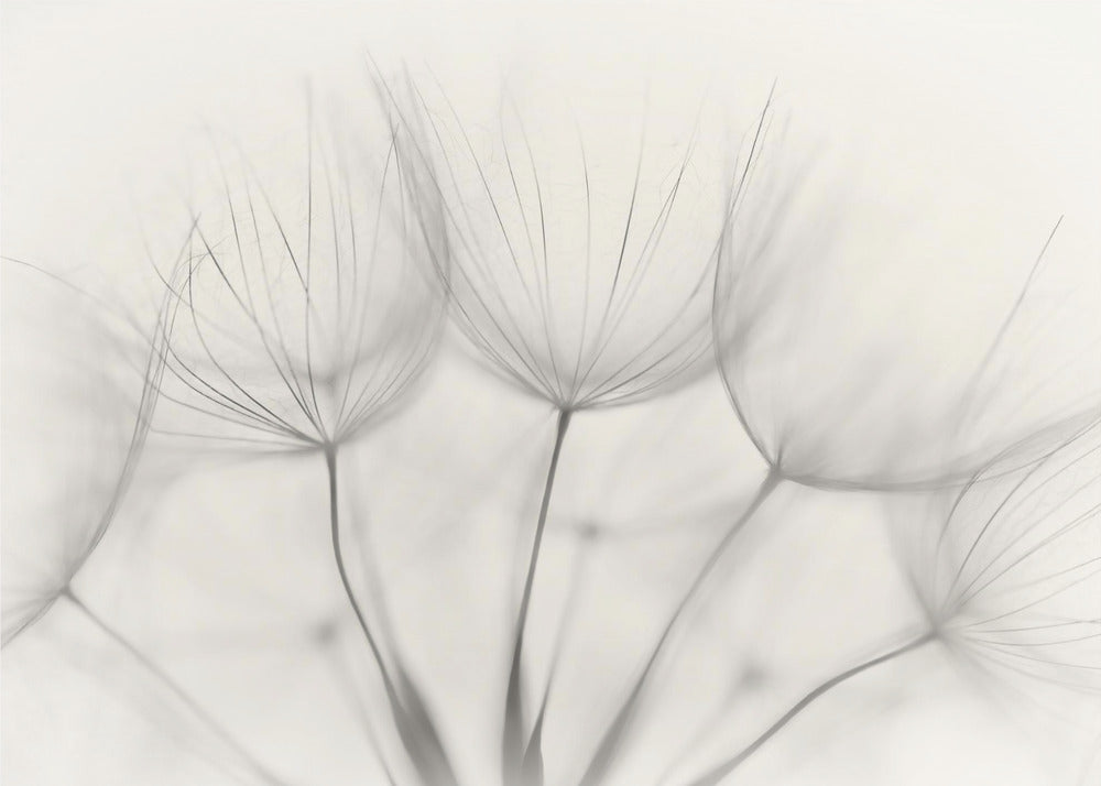 Ohne Titel | Poster