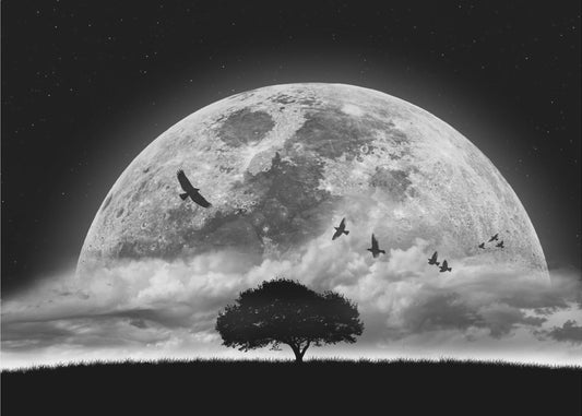 Ein Traum | Leinwand