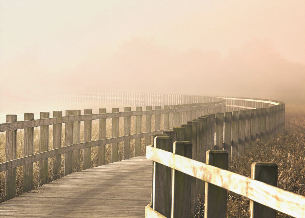 Der Weg wird heller. | Leinwand