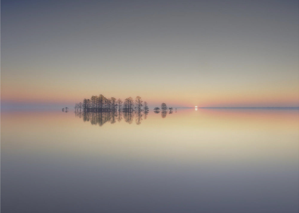 Lake Mattamuskeet-Erinnerung | Leinwand