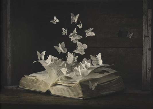 Lepidopterology | Canvas