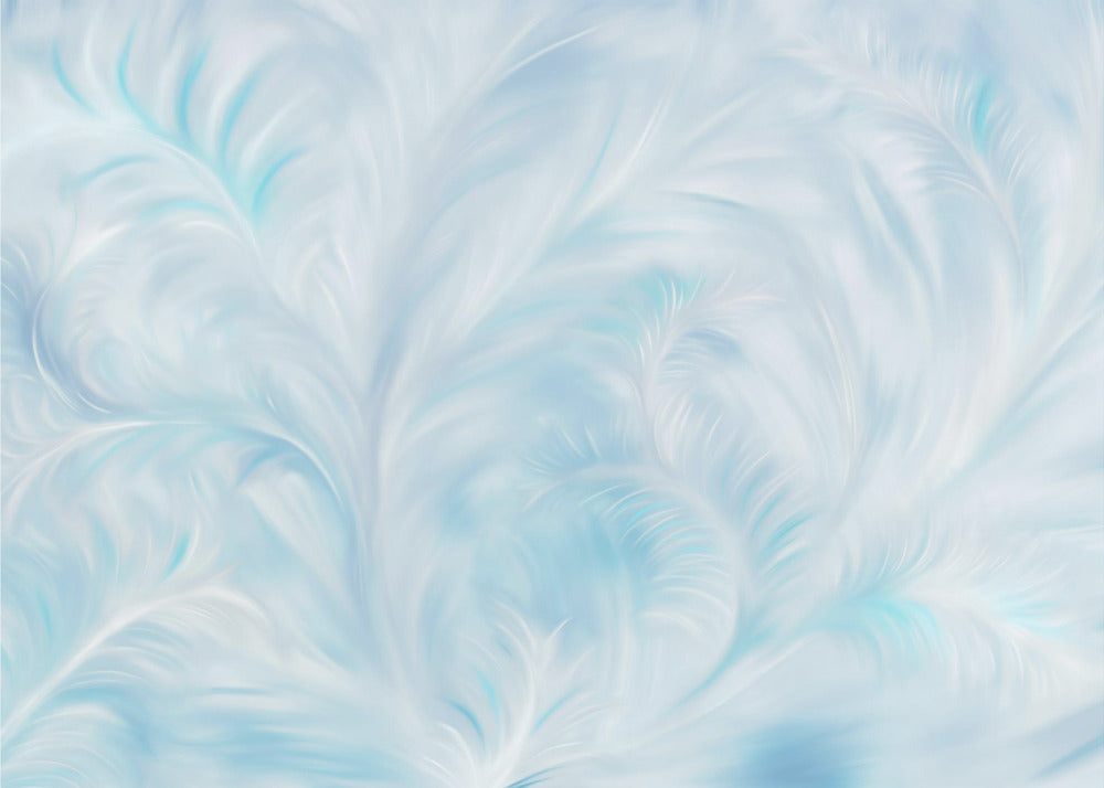 Feathered Whispers | Canvas
