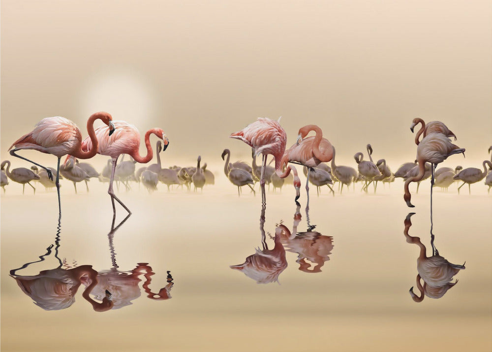 FLAMINGOS | Leinwand