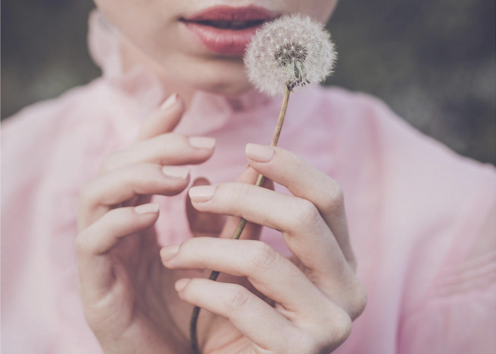 Dandelion | Poster