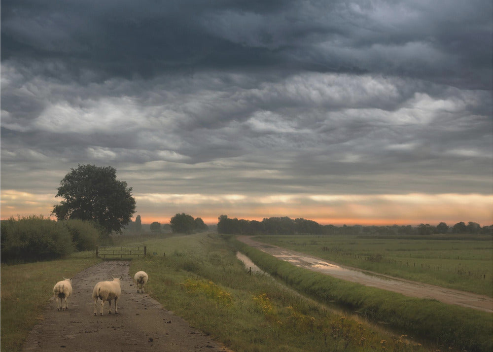 Wehende Wolken | Leinwand