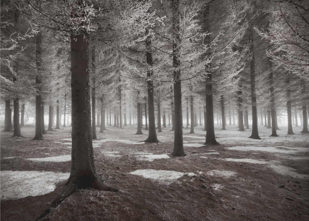 Der Wintereinbruch | Leinwand