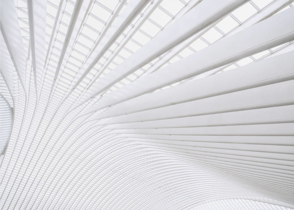Curvature | Canvas