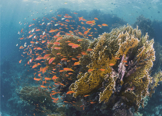 Rifflandschaft | Leinwand