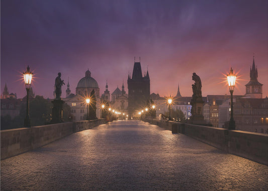 Saint Charles bridge, Prague | Canvas