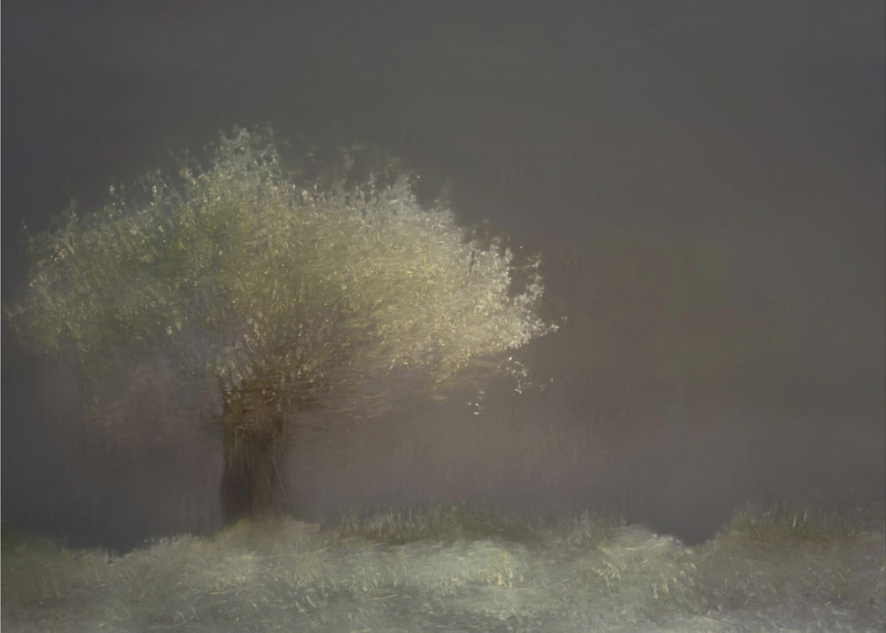 Willow | Canvas