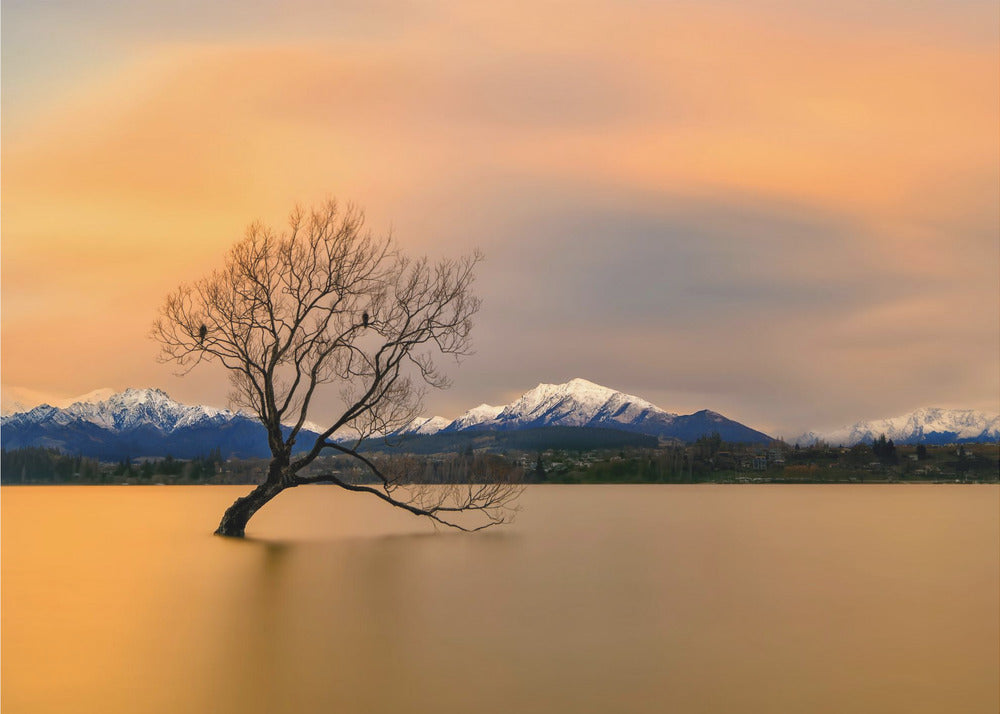 Morgenrot des Lake Wanaka | Leinwand