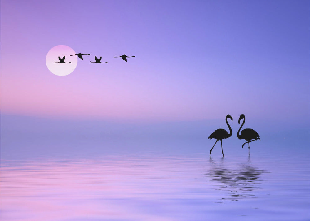 Fliegender Flamingo | Leinwand