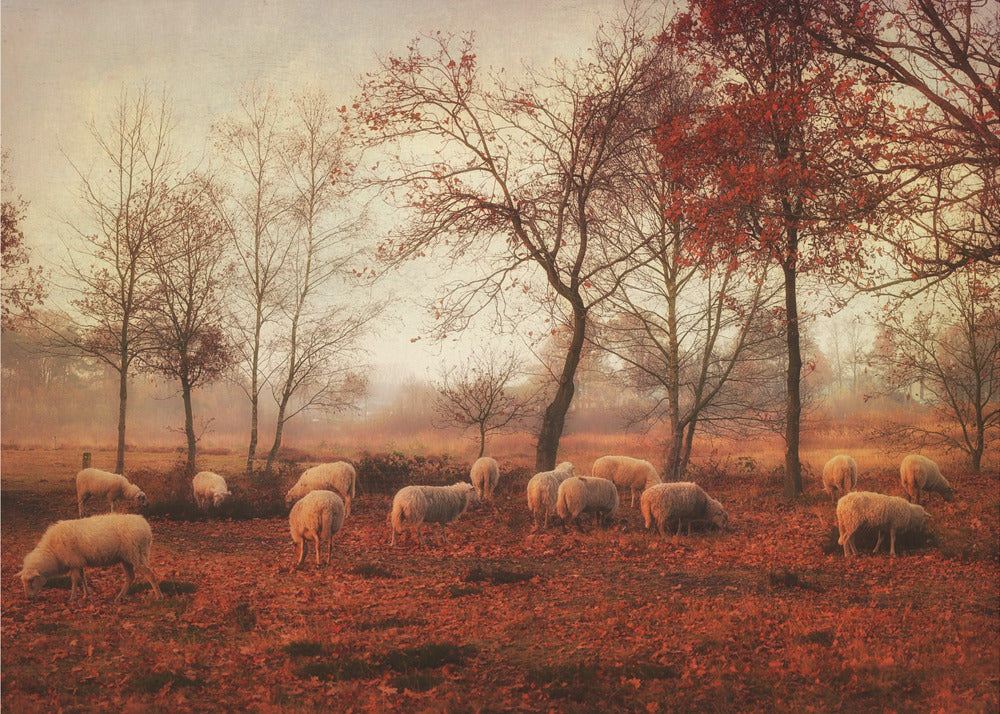 Letzte Herbsttage | Hintergrundbild