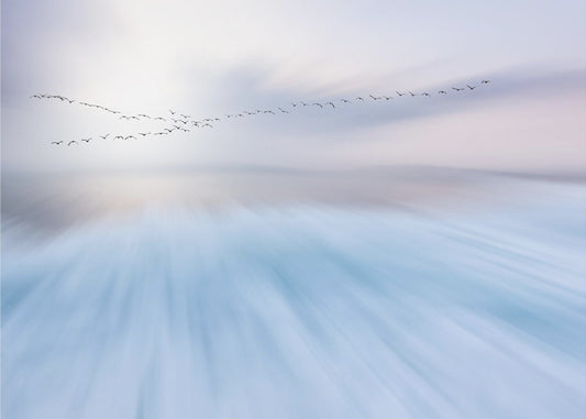 Überfliegen | Hintergrundbild
