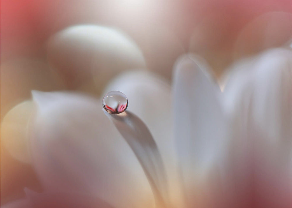 Rätsel.. | Hintergrund