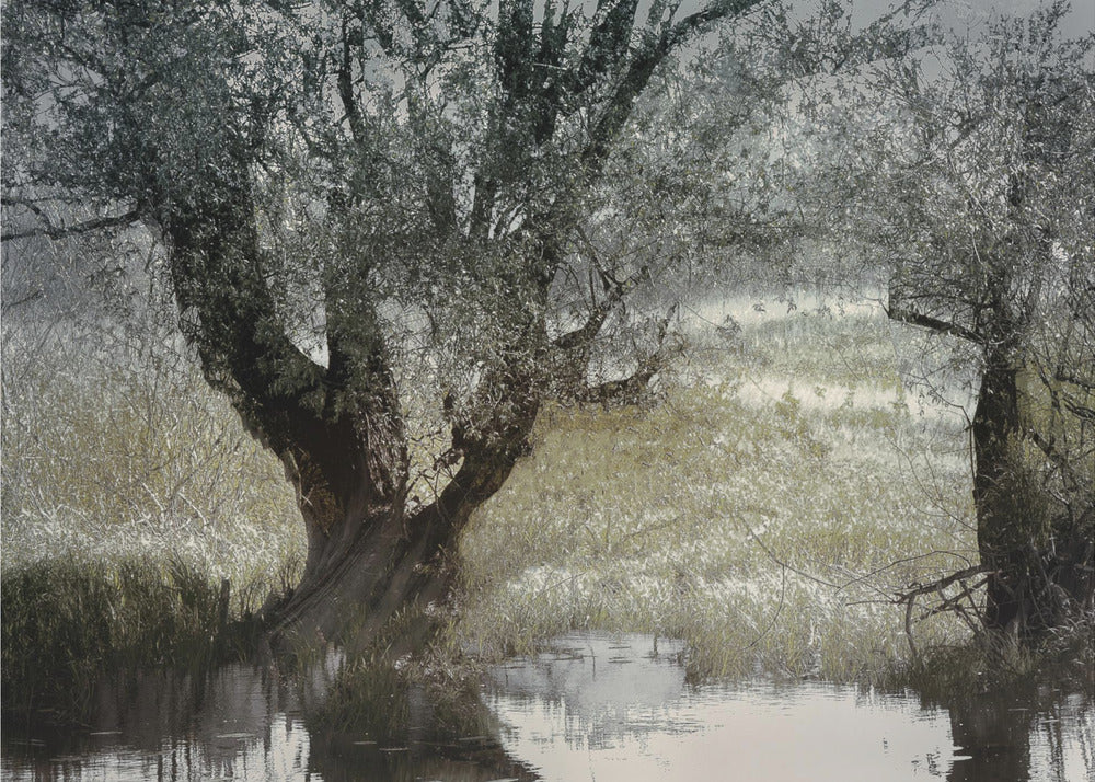 Am Wasserufer | Poster