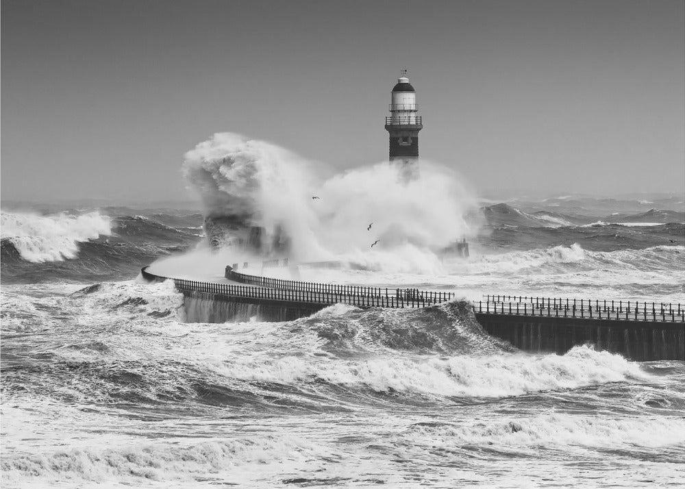 Power of the Sea | Poster