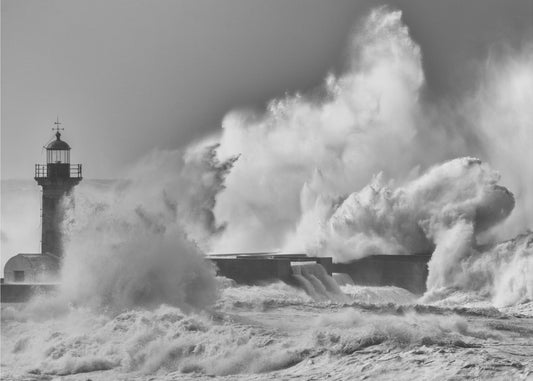 Wirbelwind | Leinwand