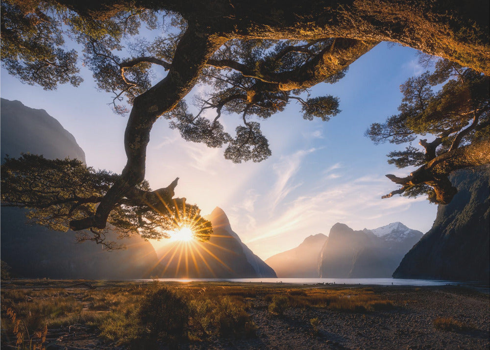 Sunny Day in Milford Sound | Poster