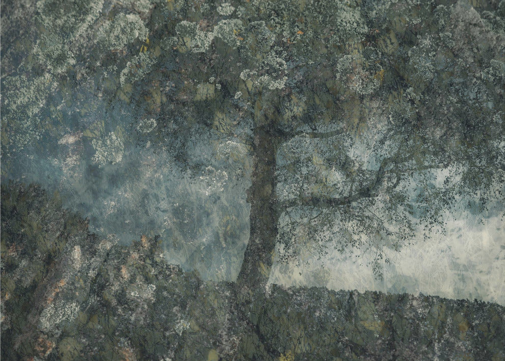 Rocks and a tree | Poster