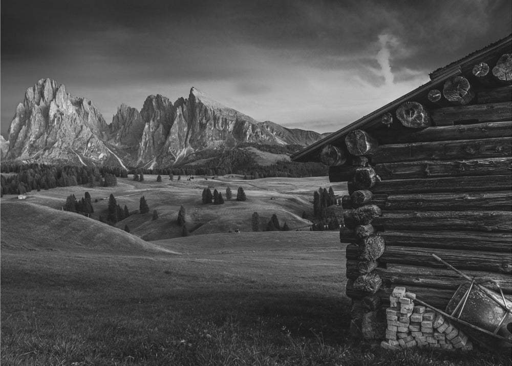 Ohne Titel | Leinwand