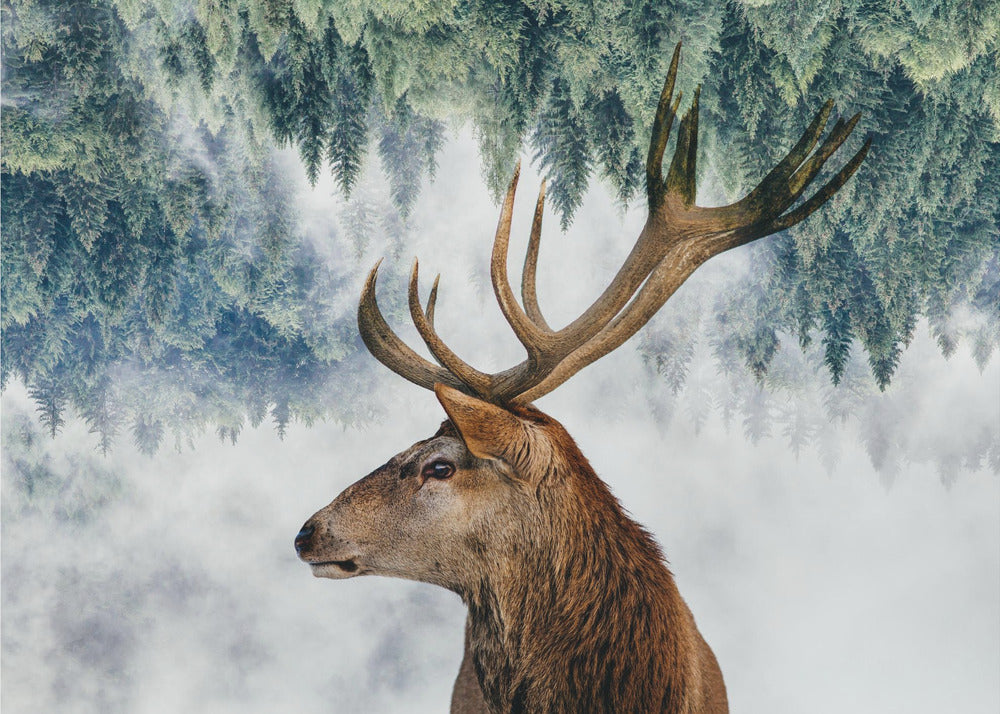 Der Hirsch und der Wald | Hintergrundbild