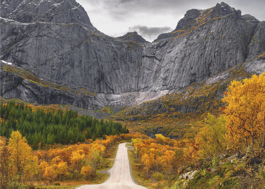 Road to the Wall | Canvas