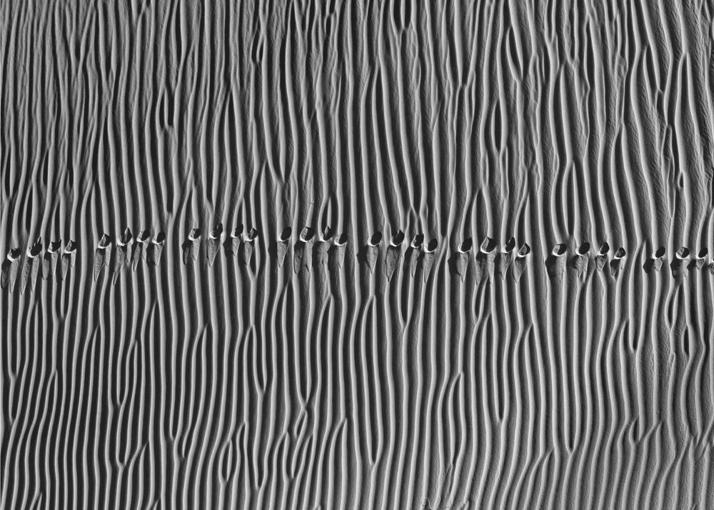 Ohne Titel | Tapete