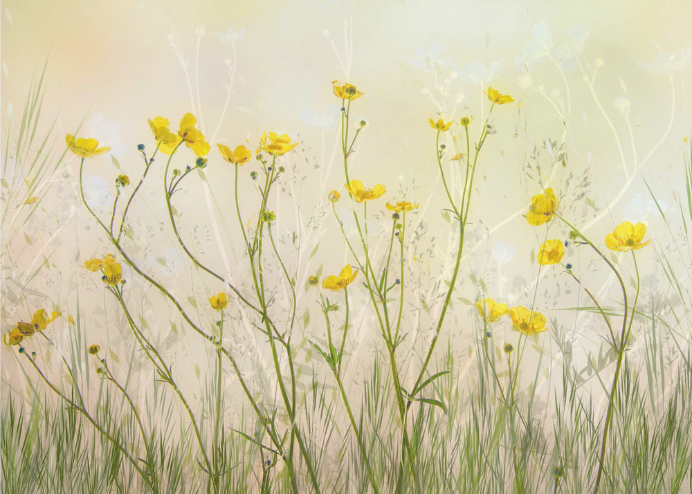 Guten Morgen! | Hintergrundbild
