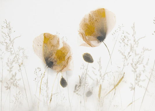 Subtil... | Poster