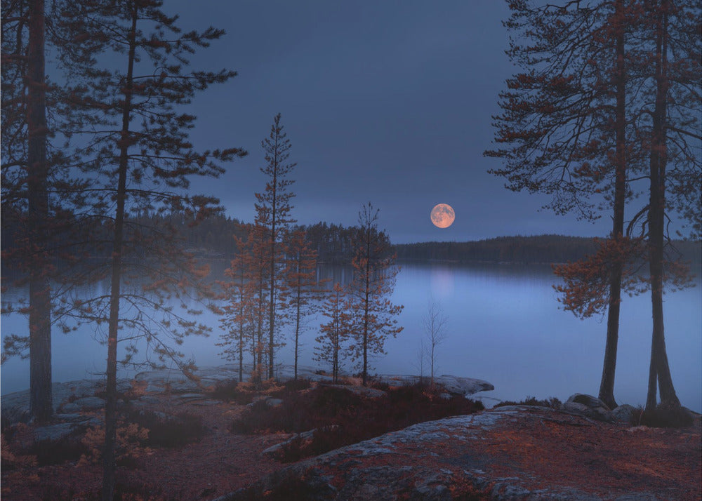 Roter Mond | Tapete