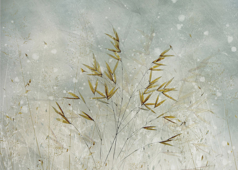 Wintertime | Poster