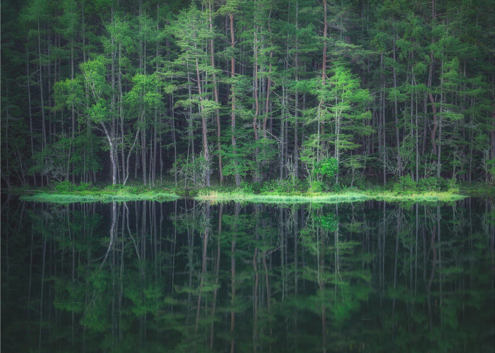 Green World | Poster