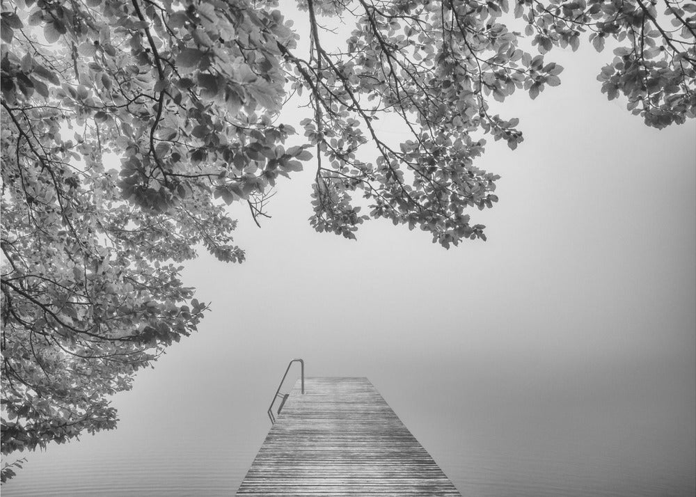 Der Klang der Stille | Hintergrundbild
