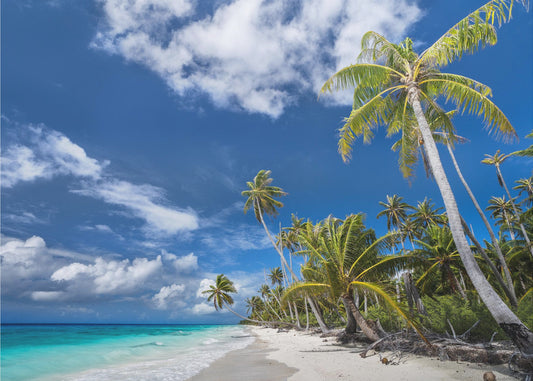 Desert Island | Canvas