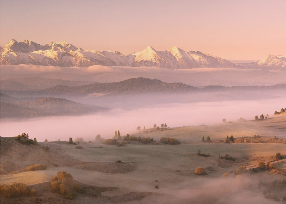 Fog Tatra | Poster