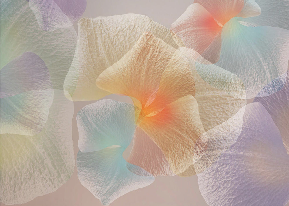 Pastellblumen | Leinwand