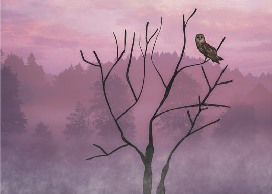 Rosa Himmel am Morgen | Leinwand