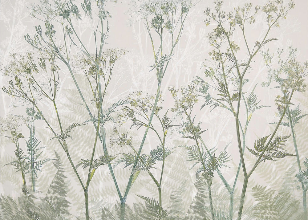 Wiesenkerbel | Leinwand