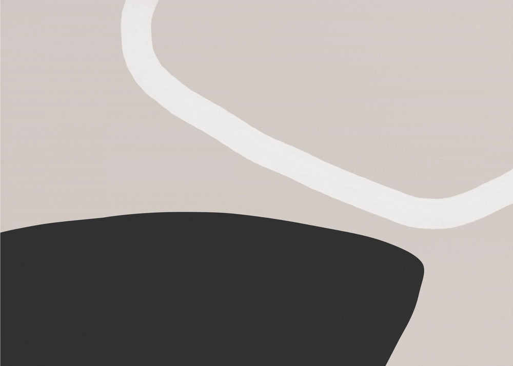 Black And White Forms | Canvas