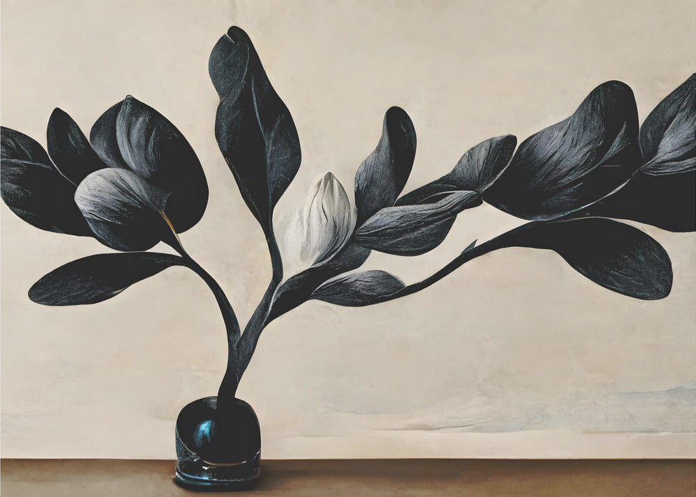 Schwarze Magnolie | Poster