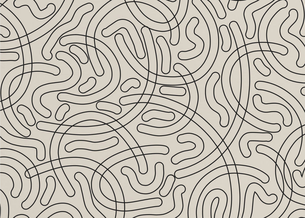 Loopy Labyrinth Lines | Canvas