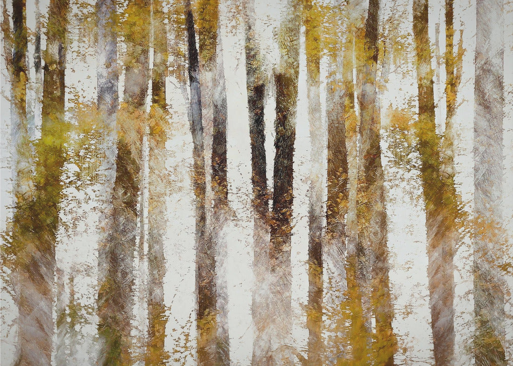 Buche im Herbst | Leinwand