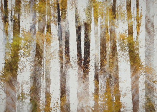 Buche im Herbst | Leinwand
