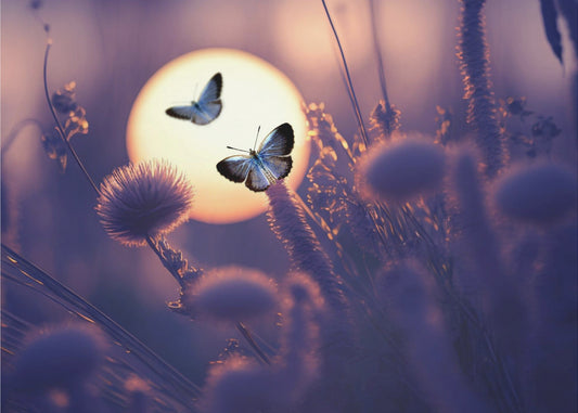 Glaube, dass du fliegen kannst | Leinwand