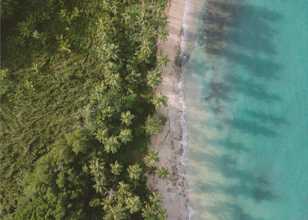Grüner Strand von oben 2 | Leinwand