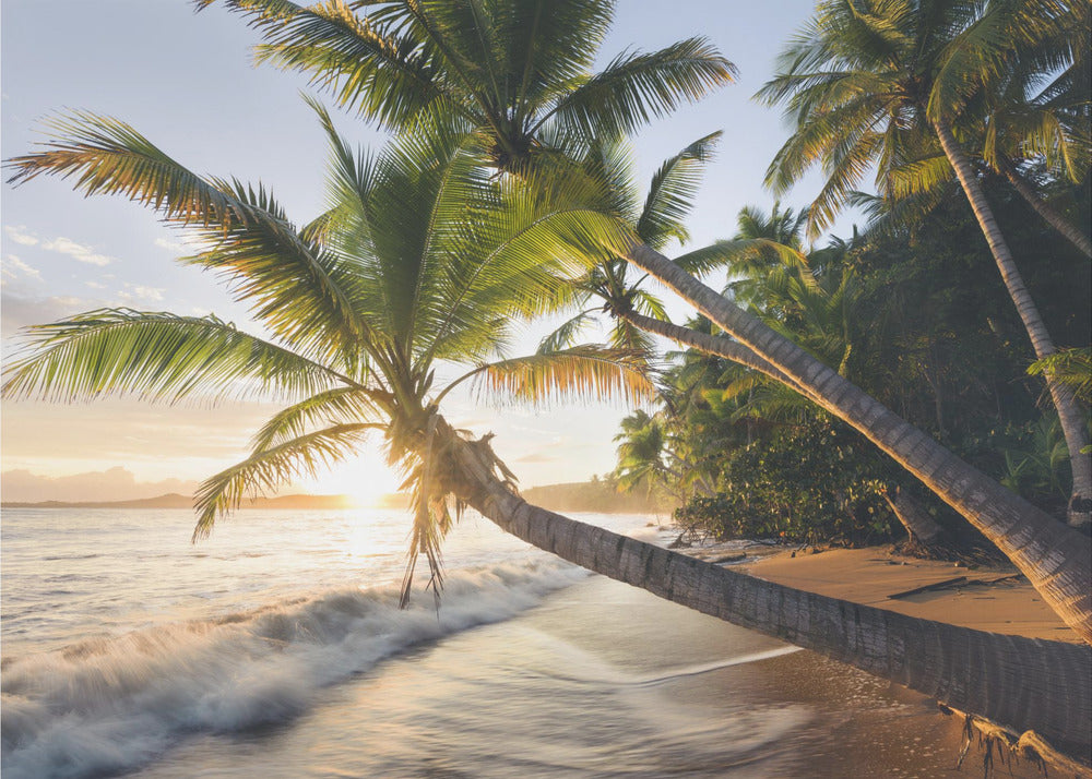 Paradiesufer | Tapete