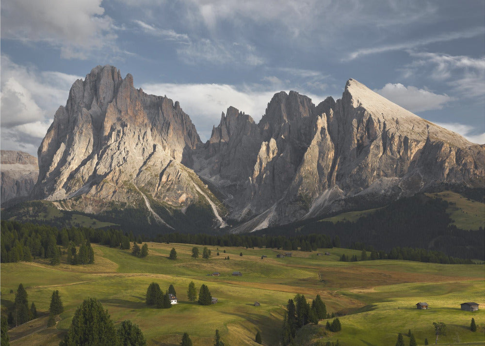 Paradiesblick | Tapete