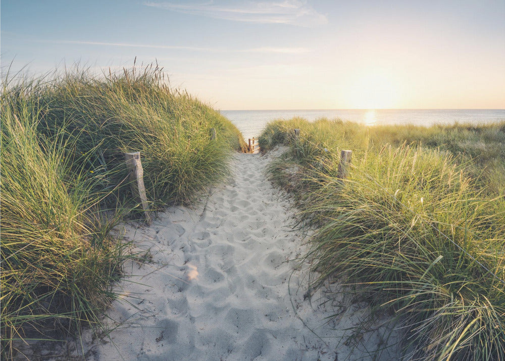 Zum Strand | Leinwand